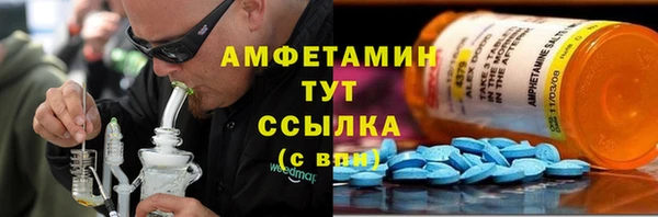 ГАЛЛЮЦИНОГЕННЫЕ ГРИБЫ Ладушкин