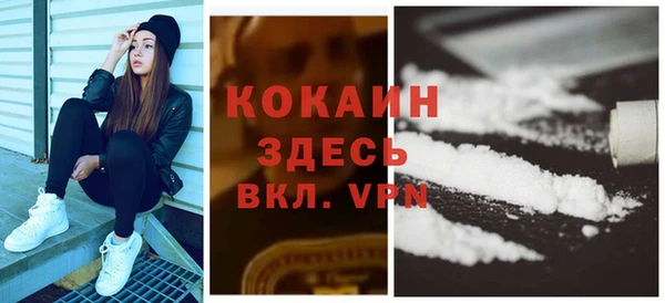 дмт Лабытнанги