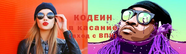 дмт Лабытнанги