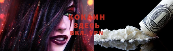 дмт Лабытнанги