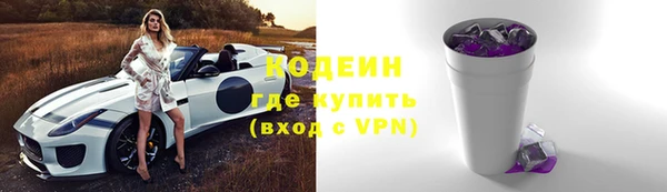 индика Лагань