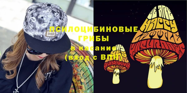 ГАЛЛЮЦИНОГЕННЫЕ ГРИБЫ Ладушкин