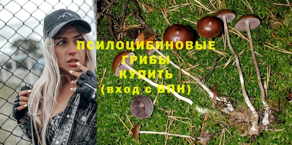 дмт Лабытнанги